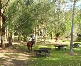 Port Macquarie Horse Riding Centre - C Tourism 6