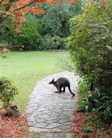 Narek Galleries - C Tourism 2