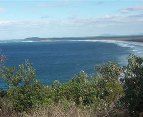 Delicate Beach - C Tourism 0