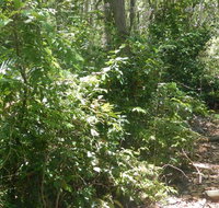 Bridle trail - C Tourism