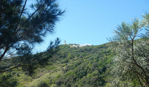 Jack Perkins Walking Track - C Tourism 3