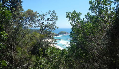 Jack Perkins Walking Track - C Tourism 1