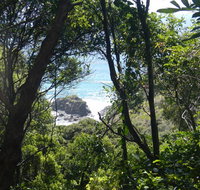 Rainforest walking track - C Tourism