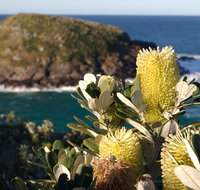 Green Island walking track - C Tourism