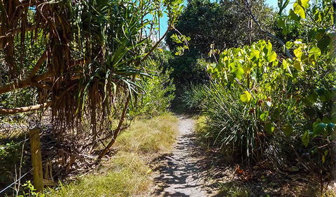 North Head Walking Track - C Tourism 0