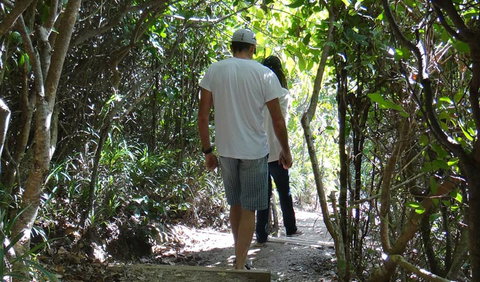 Three Sisters Walking Track - C Tourism 0