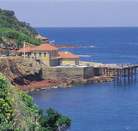 Merimbula Aquarium - C Tourism