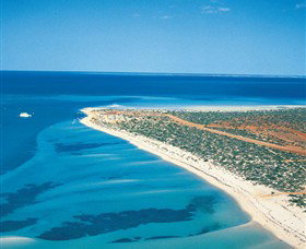 Monkey Mia WA C Tourism