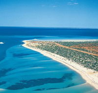 Monkey Mia - C Tourism