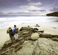 Wilderness Coast Walk - C Tourism