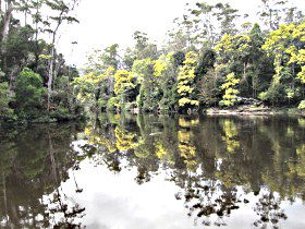 Arthur River TAS C Tourism