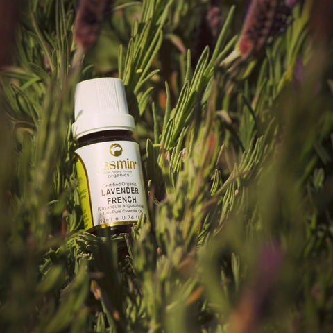 Jasmin Organics Skincare Farm And Factory - C Tourism 7