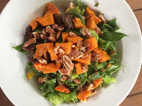 Djanbung Permaculture Gardens - C Tourism 4