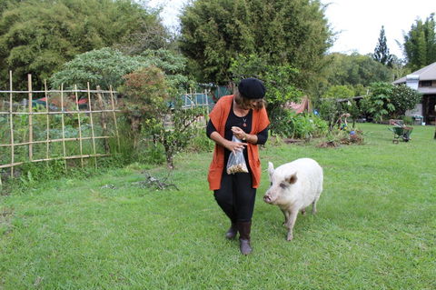 Djanbung Permaculture Gardens - C Tourism 7