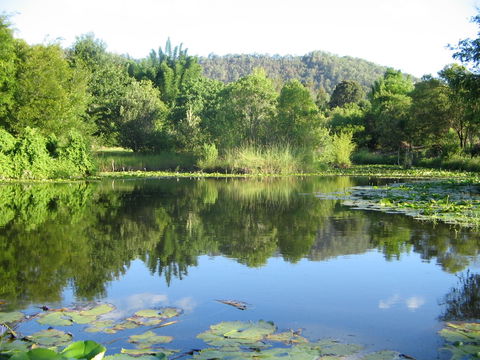 Djanbung Permaculture Gardens - C Tourism 10