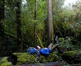 The Tarkine Drive - C Tourism 0
