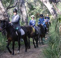 Mirravale Horse Riding School - C Tourism