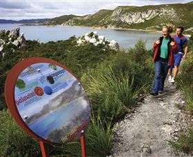 Rocky Cape TAS C Tourism