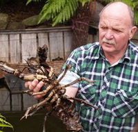 Lobster Ponds - C Tourism
