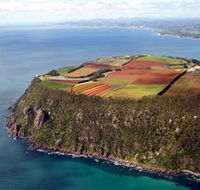 Table Cape - C Tourism