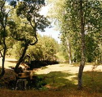 Oldina Picnic Area - C Tourism