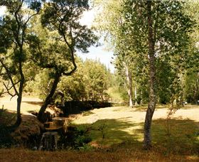 Oldina Picnic Area - C Tourism 0