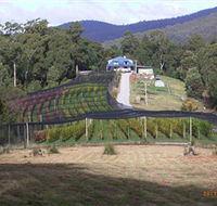 Motton Terraces - C Tourism
