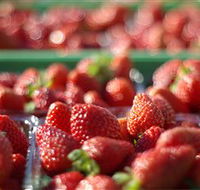 Turners Beach Berry Patch - C Tourism