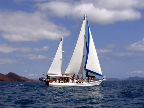 Adventure, Cruise, Dive And Outer Reef - Whitsundays Sailing Adventures - C Tourism 8