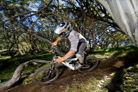 All Terrain Cycles - C Tourism 0