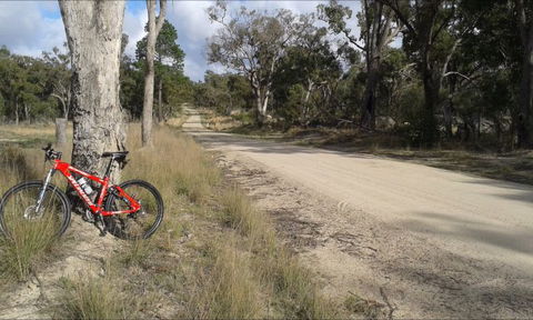 Granite Belt Bicycle Tours And Hire - C Tourism 5