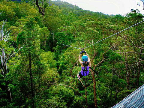 Canyon Flyer - C Tourism 1