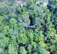 Southern Cross Day Tours Gold Coast - C Tourism