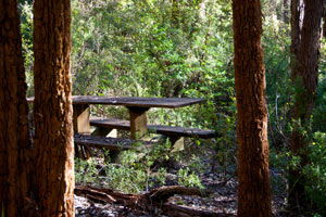 Karrak Reach Forest Retreat - C Tourism 1