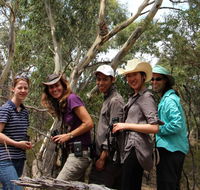 Echidna Walkabout Nature Tours - C Tourism