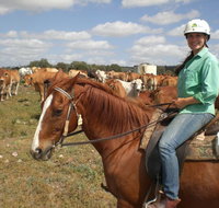 Myella Farm Stay Tours - C Tourism