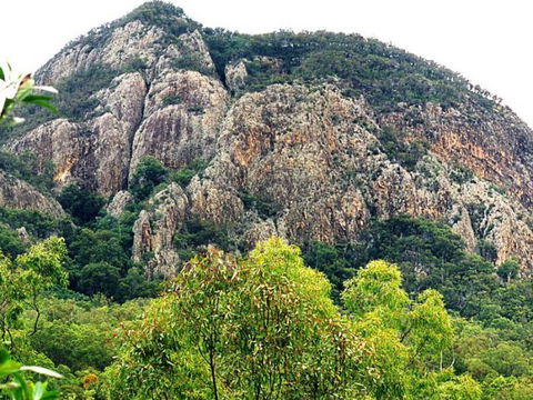 Mount Greville Track - C Tourism 0