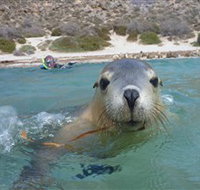 Calypso Star Charters - C Tourism