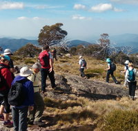 Hedonistic Hiking - C Tourism