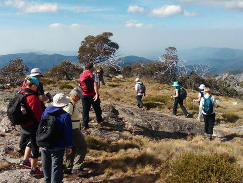 Hedonistic Hiking - C Tourism 0