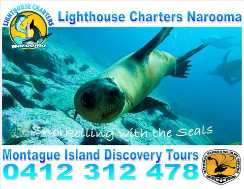 Lighthouse Charters Narooma - C Tourism 12