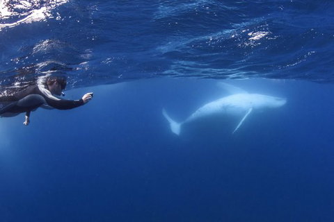 Sunreef Mooloolaba - C Tourism 0