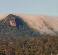 North Queensland Wildscapes Phototours - C Tourism