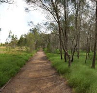 Billai dhagun Circuit Place of She-Oaks - C Tourism