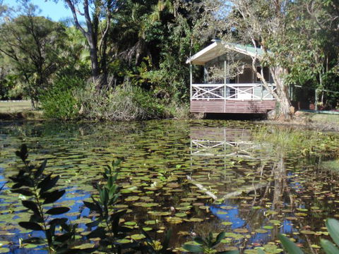 Darlington Beach NRMA Holiday Park - C Tourism 5