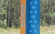 Fraser Coast Amazing Fishing Trails - thumb 18