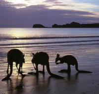 Beachcomber Cove Track - C Tourism