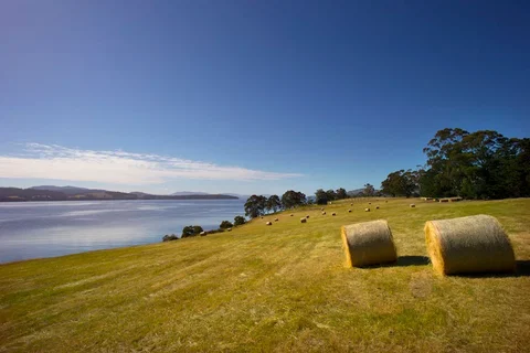 Coast House Tasmania - C Tourism 4