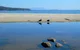 Coast House Tasmania - thumb 6