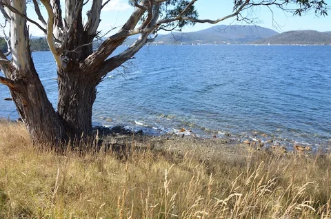 Coast House Tasmania - C Tourism 8